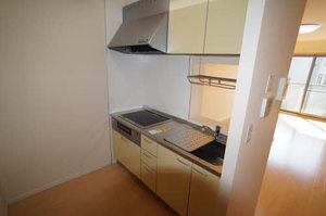 ＭＡＩＳＯＮ・ＭＡＳＴ嶋Ａ A203号-7