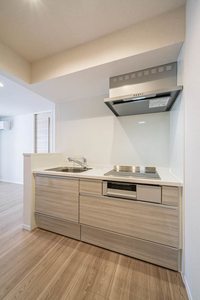 Ｃａｍｅｌｏｔ　Ｅａｓｔ 203号-8