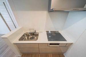 Ｃａｍｅｌｏｔ　Ｅａｓｔ 203号-9