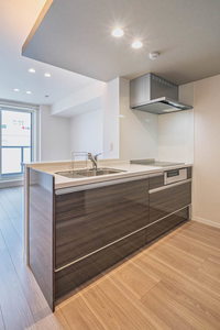 Ｃａｍｅｌｏｔ　Ｅａｓｔ 301号-7