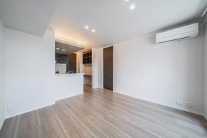 Ｃａｍｅｌｏｔ　Ｅａｓｔ 401号-5