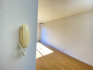 アヴィエス 102号-12