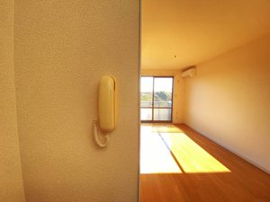 アヴィエス 205号-12