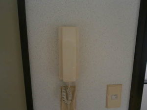 プチ・ラフォーレ 203号-8