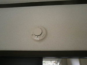 プチ・ラフォーレ 203号-9