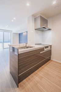 リノフォート白虎 102号-5