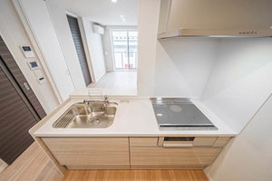 リノフォート白虎 202号-5