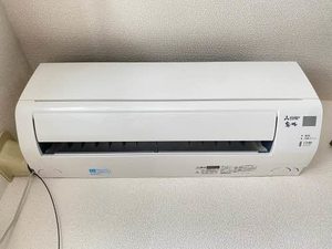 Ｇｒａｎｄｅｅ　Ｚｅｎ 202号-13