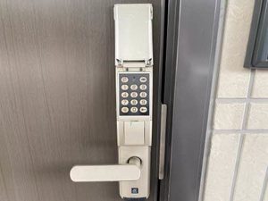 Ｇｒａｎｄｅｅ　Ｚｅｎ 202号-14