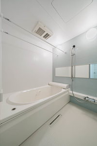 ベレオグリスィーヌ 101号-9