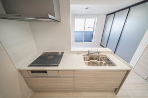 マグノリア上杉 306号-7