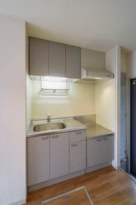 ハイネス山の寺 101号-4