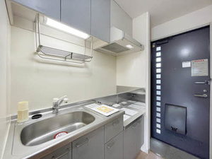 ハイネス山の寺 203号-5