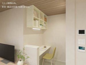 ＬＵＡＮＡ　ＫＡＭＩＳＵＧＩ 209号-8