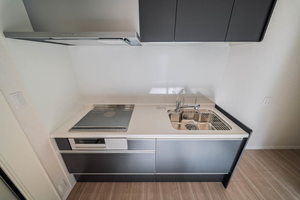 Ｔｅｒｒａｃｅ米ケ袋 102号-8