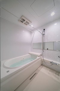 Ｔｅｒｒａｃｅ米ケ袋 203号-9