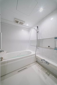 Ｔｅｒｒａｃｅ米ケ袋 401号-9