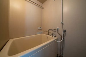 メゾンミモザⅡ 105号-8