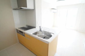 メゾンマスト富沢 302号-4