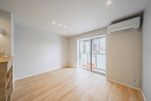 Ａｍｂｅｒ　Ｃｏｕｒｔ 201号-3