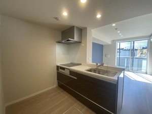 ＤＯＬＣＥ　ＣＡＳＡ　野田町 102号-4