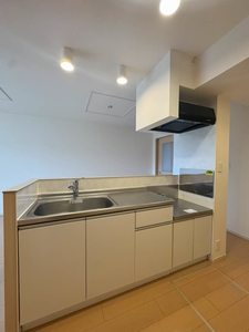 リーフⅡ 102号-6