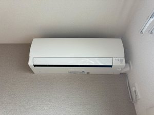 リーフⅡ 102号-9