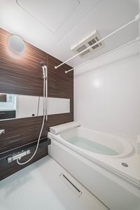 フェリシア 102号-7