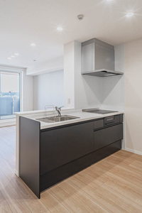 フェリシア 402号-5