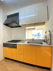 ディアスブランシェJⅡA 203号-3