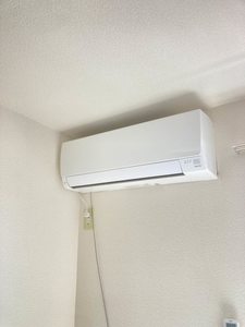 グリーンハイツ2F 202号-9