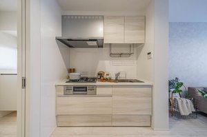 シュガーグランデュールC 101号-3