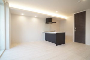 シャーメゾン コア八日町 205号-3