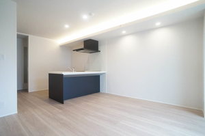 シャーメゾン コア八日町 303号-3