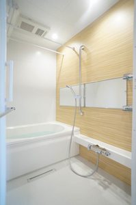 シャーメゾン コア八日町 303号-11