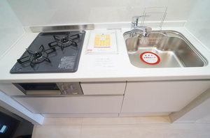 Ｋａｌｍｉａ　Ｐａｌａｃｅ　Ｃ 101号-4