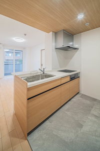 ラピス連坊 101号-5