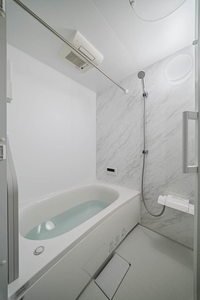 ラピス連坊 202号-7