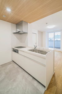 ラピス連坊 205号-7