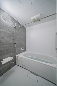 ラピス連坊 301号-9