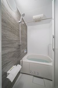 ラピス連坊 303号-9