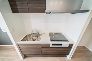 アンビシア西ノ内 205号-6