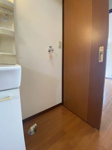 シャトル・トシ 203号-9