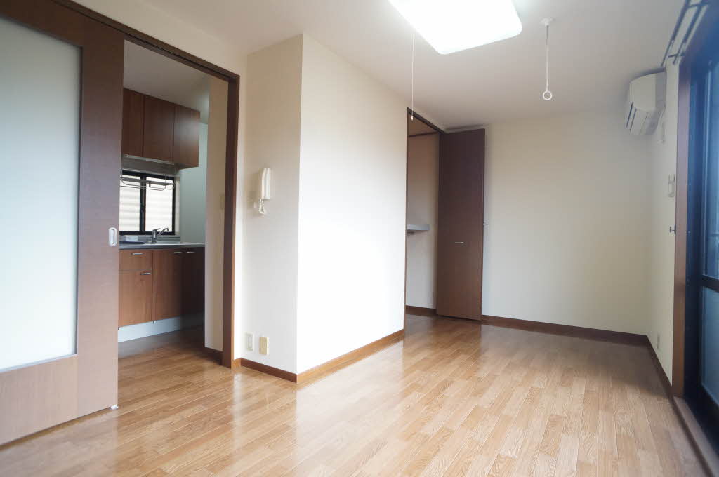 ハイネス十日町 203号-3