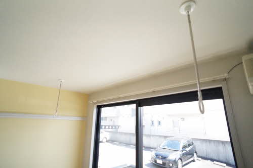 アラバスタ金剛 103号-6