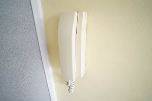 アラバスタ金剛 103号-9