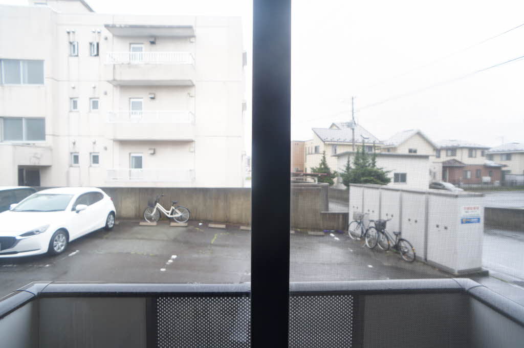 アラバスタ金剛 103号-11