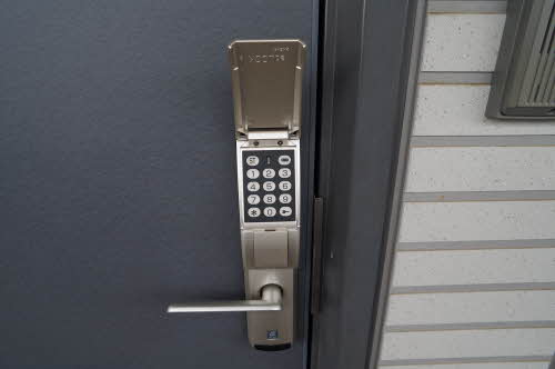 アラバスタ金剛 203号-2