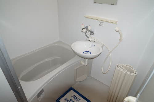 アラバスタ金剛 203号-4