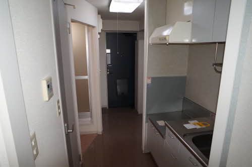 アラバスタ金剛 203号-9